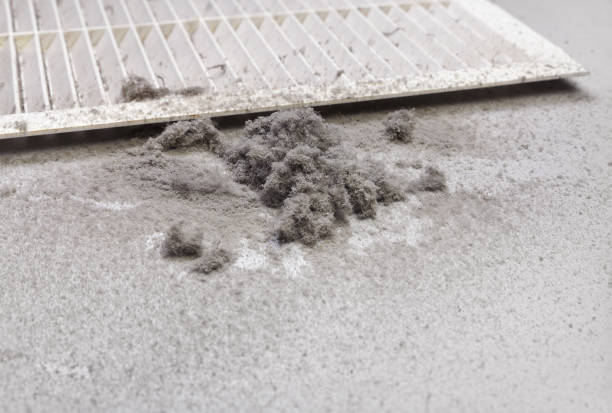 Best HVAC System Cleaning  in Edgewater, FL