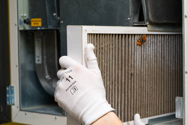 Best Affordable HVAC Duct Cleaning  in Edgewater, FL